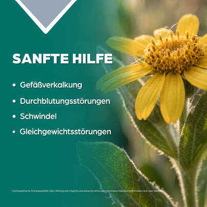 Apozema® Nr. 05 Arteriosklerose-Tropfen, A-Nr.: 0987992 - 03