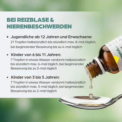 Sie sehen eine Packung Apozema® Nr. 09 Blasen- und Nieren-Tropfen, Produktbild: 05 Apozema® Nr. 09 Blasen- und Nieren-Tropfen, A-Nr.: 0957525 - 05