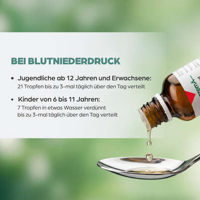 Apozema® Nr. 11 Blutniederdruck-Tropfen, A-Nr.: 0987816 - 05