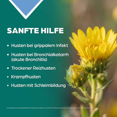 Apozema® Nr. 12 Bronchial- und Husten-Tropfen, A-Nr.: 0987839 - 03