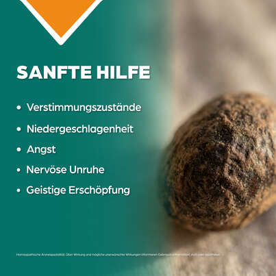 Apozema® Nr. 13 Stimmungsaufhellungs-Tropfen, A-Nr.: 0952999 - 03