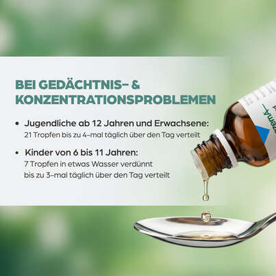 Sie sehen eine Packung Apozema® Nr. 17 Gedächtnis- und Konzentrations-Tropfen, Produktbild: 05 Apozema® Nr. 17 Gedächtnis- und Konzentrations-Tropfen, A-Nr.: 0987845 - 05
