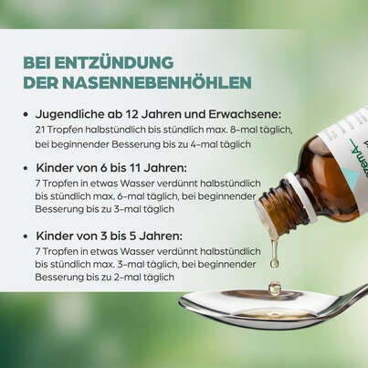 Sie sehen eine Packung Apozema® Nr. 31 Sinusitis-Tropfen, Produktbild: 05 Apozema® Nr. 31 Sinusitis-Tropfen, A-Nr.: 0987822 - 05