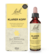 Sie sehen eine Packung Bach®- Blütenmischung KLARER KOPF, Produktbild: 01 Bach®- Blütenmischung KLARER KOPF, A-Nr.: 6146727 - 01