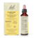 Sie sehen eine Packung Bach®- Blütenmischung KLARER KOPF, Produktbild: 02 Bach®- Blütenmischung KLARER KOPF, A-Nr.: 6146727 - 02