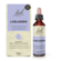 Sie sehen eine Packung Bach®- Blütenmischung LOSLASSEN, Produktbild: 01 Bach®- Blütenmischung LOSLASSEN, A-Nr.: 6146710 - 01