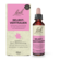 Sie sehen eine Packung Bach®- Blütenmischung SELBSTVERTRAUEN, Produktbild: 02 Bach®- Blütenmischung SELBSTVERTRAUEN, A-Nr.: 6146733 - 02
