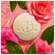 Seifen Roger &amp; Gallet Wellbeing Soap Feuille De The 100g, A-Nr.: 5733434 - 04