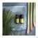 Sie sehen eine Packung Aetherische Oele Primavera Lemongrass Bio 10ml, Produktbild: 04 Aetherische Oele Primavera Lemongrass Bio 10ml, A-Nr.: 3160402 - 04