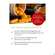 Sie sehen eine Packung Curcumin Kapseln Extrakt 45 Dr.wolz Nr 60553 90st, Produktbild: 09 Curcumin Kapseln Extrakt 45 Dr.wolz Nr 60553 90st, A-Nr.: 4289983 - 09