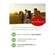 Sie sehen eine Packung Curcumin Kapseln Extrakt 45 Dr.wolz Nr 60553 90st, Produktbild: 10 Curcumin Kapseln Extrakt 45 Dr.wolz Nr 60553 90st, A-Nr.: 4289983 - 10