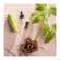 Sie sehen eine Packung Aetherische Oele Primavera Angelikawurzel Bio 1ml, Produktbild: 04 Aetherische Oele Primavera Angelikawurzel Bio 1ml, A-Nr.: 2582762 - 04