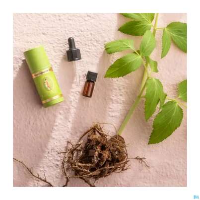 Sie sehen eine Packung Aetherische Oele Primavera Angelikawurzel Bio 1ml, Produktbild: 04 Aetherische Oele Primavera Angelikawurzel Bio 1ml, A-Nr.: 2582762 - 04