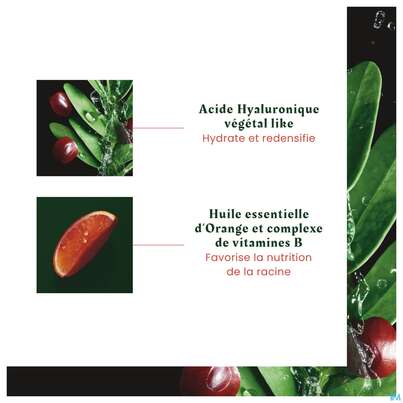 Sie sehen eine Packung Furterer Tonucia Kräftigende Maske 100ml, Produktbild: 13 Furterer Tonucia Kräftigende Maske 100ml, A-Nr.: 5439918 - 13