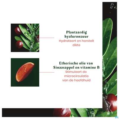 Sie sehen eine Packung Furterer Tonucia Kräftigende Maske 100ml, Produktbild: 20 Furterer Tonucia Kräftigende Maske 100ml, A-Nr.: 5439918 - 20