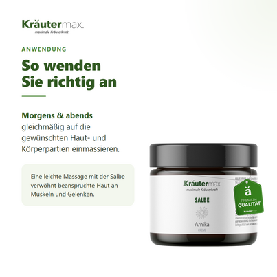Sie sehen eine Packung Arnika Salbe 100 ml, Produktbild: 04 Arnika Salbe 100 ml, A-Nr.: 4319566 - 04