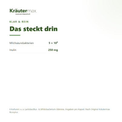 Sie sehen eine Packung Darmbakterien Kapseln 60 Stück, Produktbild: 03 Darmbakterien Kapseln 60 Stück, A-Nr.: 4318118 - 03