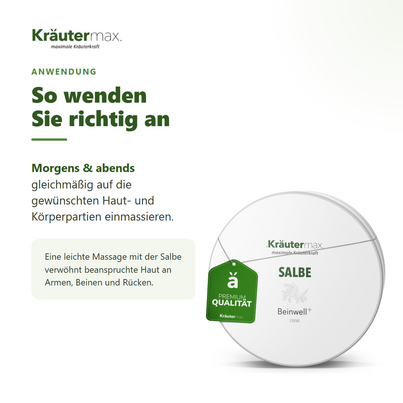 Sie sehen eine Packung Beinwell Salbe 100 ml, Produktbild: 04 Beinwell Salbe 100 ml, A-Nr.: 4319595 - 04