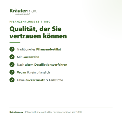 Löwenzahn Tropfen Fluid 50 ml, A-Nr.: 4317797 - 06