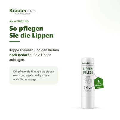 Sie sehen eine Packung Olivenöl Lippenbalsam 3,5 g, Produktbild: 04 Olivenöl Lippenbalsam 3,5 g, A-Nr.: 4311228 - 04
