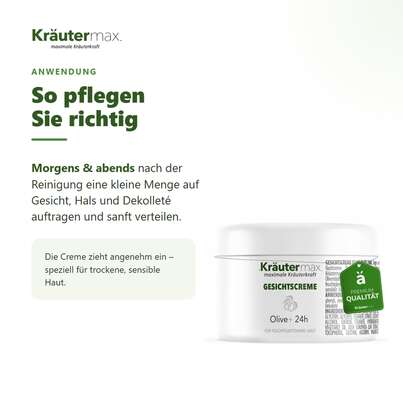 Sie sehen eine Packung Olive Gesichtscreme 100 ml, Produktbild: 04 Olive Gesichtscreme 100 ml, A-Nr.: 5942209 - 04