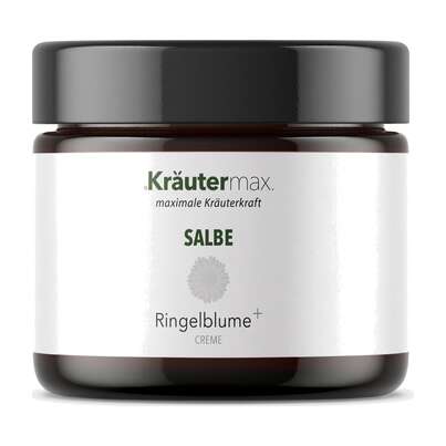 Sie sehen eine Packung Ringelblumensalbe 100 ml, Produktbild: 01 Ringelblumensalbe 100 ml, A-Nr.: 3339147 - 01