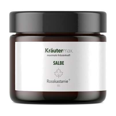 Rosskastanien Gel 100 ml, A-Nr.: 4319767 - 01