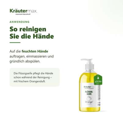 Sie sehen eine Packung Orangen Seife flüssig 250 ml, Produktbild: 04 Orangen Seife flüssig 250 ml, A-Nr.: 4319543 - 04