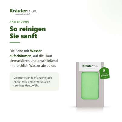 Sie sehen eine Packung Aloe Vera Seife 100 g, Produktbild: 04 Aloe Vera Seife 100 g, A-Nr.: 4320919 - 04