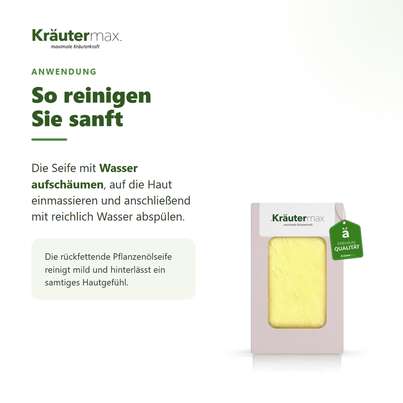 Sie sehen eine Packung Olive Seife 100 g, Produktbild: 04 Olive Seife 100 g, A-Nr.: 4319359 - 04