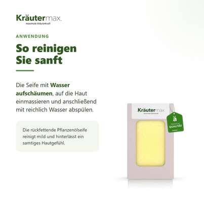 Sie sehen eine Packung Zirbe Seife 100 g, Produktbild: 04 Zirbe Seife 100 g, A-Nr.: 4760280 - 04