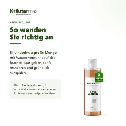 Sie sehen eine Packung Birke Shampoo 250 ml, Produktbild: 04 Birke Shampoo 250 ml, A-Nr.: 4319394 - 04