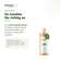 Sie sehen eine Packung Brennnessel Shampoo 250 ml, Produktbild: 04 Brennnessel Shampoo 250 ml, A-Nr.: 4609287 - 04