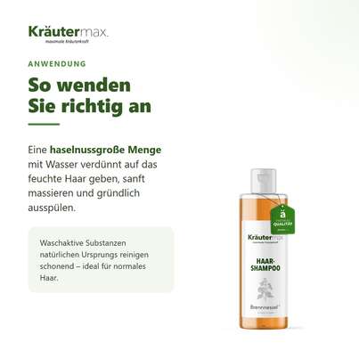 Sie sehen eine Packung Brennnessel Shampoo 250 ml, Produktbild: 04 Brennnessel Shampoo 250 ml, A-Nr.: 4609287 - 04