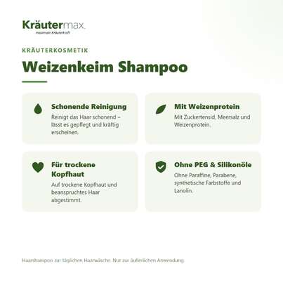 Sie sehen eine Packung Weizenkeim Shampoo 250 ml, Produktbild: 02 Weizenkeim Shampoo 250 ml, A-Nr.: 5858845 - 02