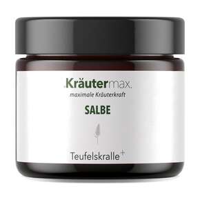Teufelskralle Salbe 100 ml, A-Nr.: 5138915 - 01