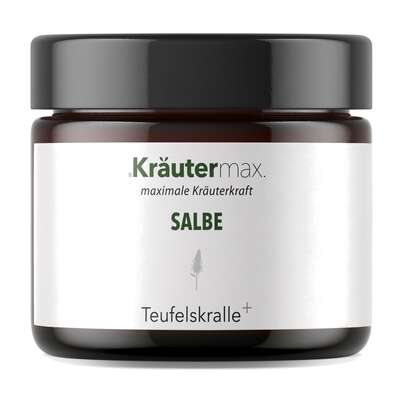 Sie sehen eine Packung Teufelskralle Salbe 100 ml, Produktbild: 01 Teufelskralle Salbe 100 ml, A-Nr.: 5138915 - 01