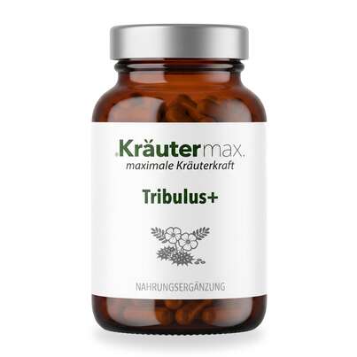 Sie sehen eine Packung Tribulus+ Kapseln 90 Stück, Produktbild: 01 Tribulus+ Kapseln 90 Stück, A-Nr.: 6130034 - 01