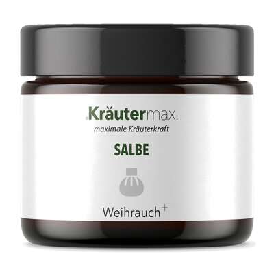 Sie sehen eine Packung Weihrauch Salbe 100 ml, Produktbild: 01 Weihrauch Salbe 100 ml, A-Nr.: 5138921 - 01