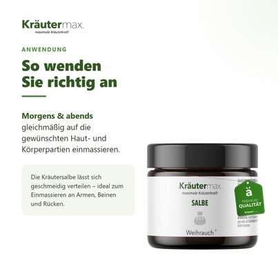 Sie sehen eine Packung Weihrauch Salbe 100 ml, Produktbild: 04 Weihrauch Salbe 100 ml, A-Nr.: 5138921 - 04