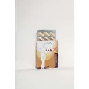 Carnitin plus Kapseln Ökopan 30 Stück, A-Nr.: 3049113 - 01