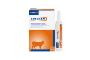 Energan Calcium für Milchkühe, A-Nr.: 3003364 - 01