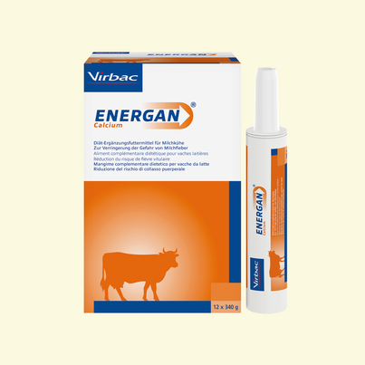 Energan Calcium für Milchkühe, A-Nr.: 3003364 - 03