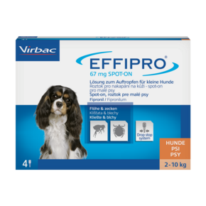 Effipro 67mg Lösung zum Auftropfen für kleine Hunde, A-Nr.: 3546981 - 01