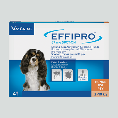 Effipro 67mg Lösung zum Auftropfen für kleine Hunde, A-Nr.: 3546981 - 02