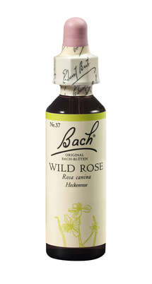 Bach®-Blüte Nr. 37 Wild Rose (Heckenrose), A-Nr.: 5323423 - 01