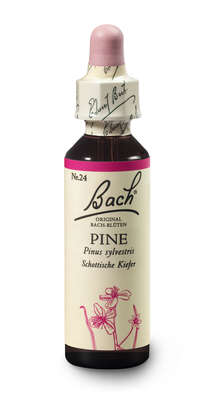 Bach®-Blüte Nr. 24 Pine (Schottische Kiefer), A-Nr.: 5323021 - 02