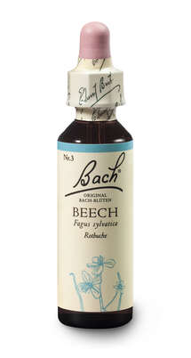 Bach®-Blüte Nr. 3 Beech (Rotbuche), A-Nr.: 5322808 - 03