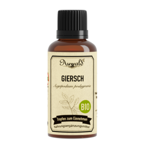 Auwald® - Giersch - BIO Tropfen (Auszug, Extrakt, Essenz), A-Nr.: 5709625 - 01