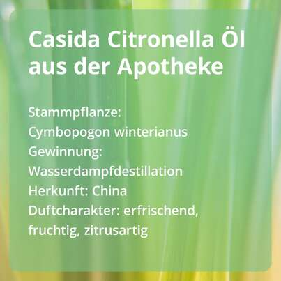 Citronella Öl - naturreines ätherisches Öl, A-Nr.: 5679261 - 02